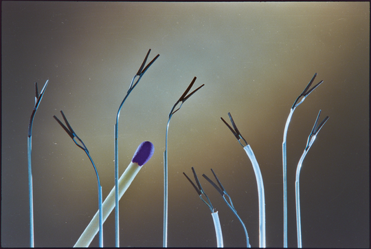 Mikroscheren des Instituts für Mikrostrukturtechnik am Forschungszentrum Karlsruhe für die minimalinvasive Chirurgie, Oktober 1996, Fotografie unbekannter Urheberschaft. KIT-Archiv 28028/10682.