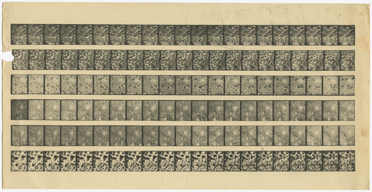 Montage von Filmaufnahmen der Bewegung von Flüssigkristallen, ca. 1900. KIT-Archiv 27059/11.
