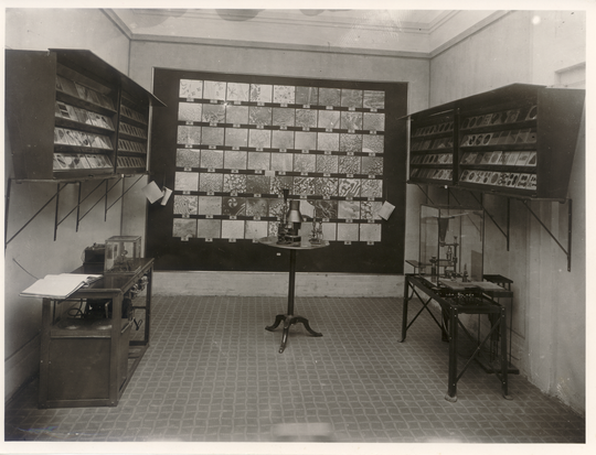 Ausstellung von Otto Lehman über seine Flüssigkristallforschung an der Pariser Universität Sorbonne, 1909, Fotografie unbekannter Urheberschaft. KIT-Archiv 27059/64.