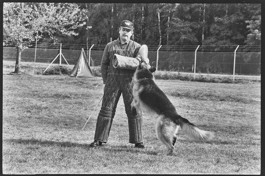 Hundeprüfung am Kernforschungszentrum Karlsruhe, 21.09.1979, Fotografie unbekannter Urheberschaft. KIT-Archiv 28028/06442.